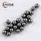 Steel Ball